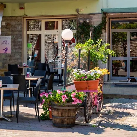 Le Palme Casa de hóspedes