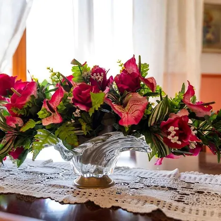 Le Palme 招待所 *