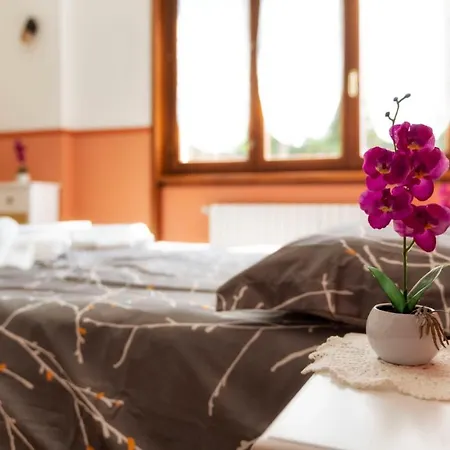 Le Palme 招待所 *