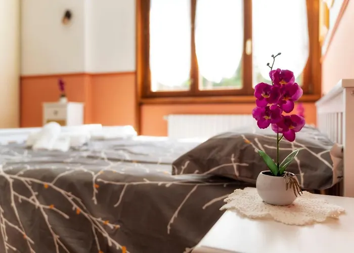 Le Palme Gæstehus *